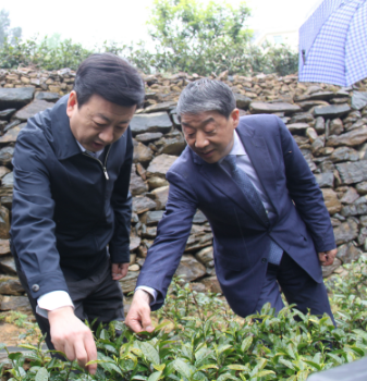 安康富硒茶引爆中國西部最牛茶專業(yè)展會(huì)(圖6)