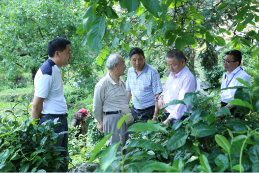 安康富硒茶引爆中國西部最牛茶專業(yè)展會(huì)(圖11)