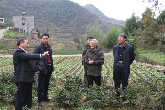 安康富硒茶引爆中國西部最牛茶專業(yè)展會(huì)(圖10)