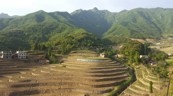 安康富硒茶引爆中國西部最牛茶專業(yè)展會(huì)(圖1)